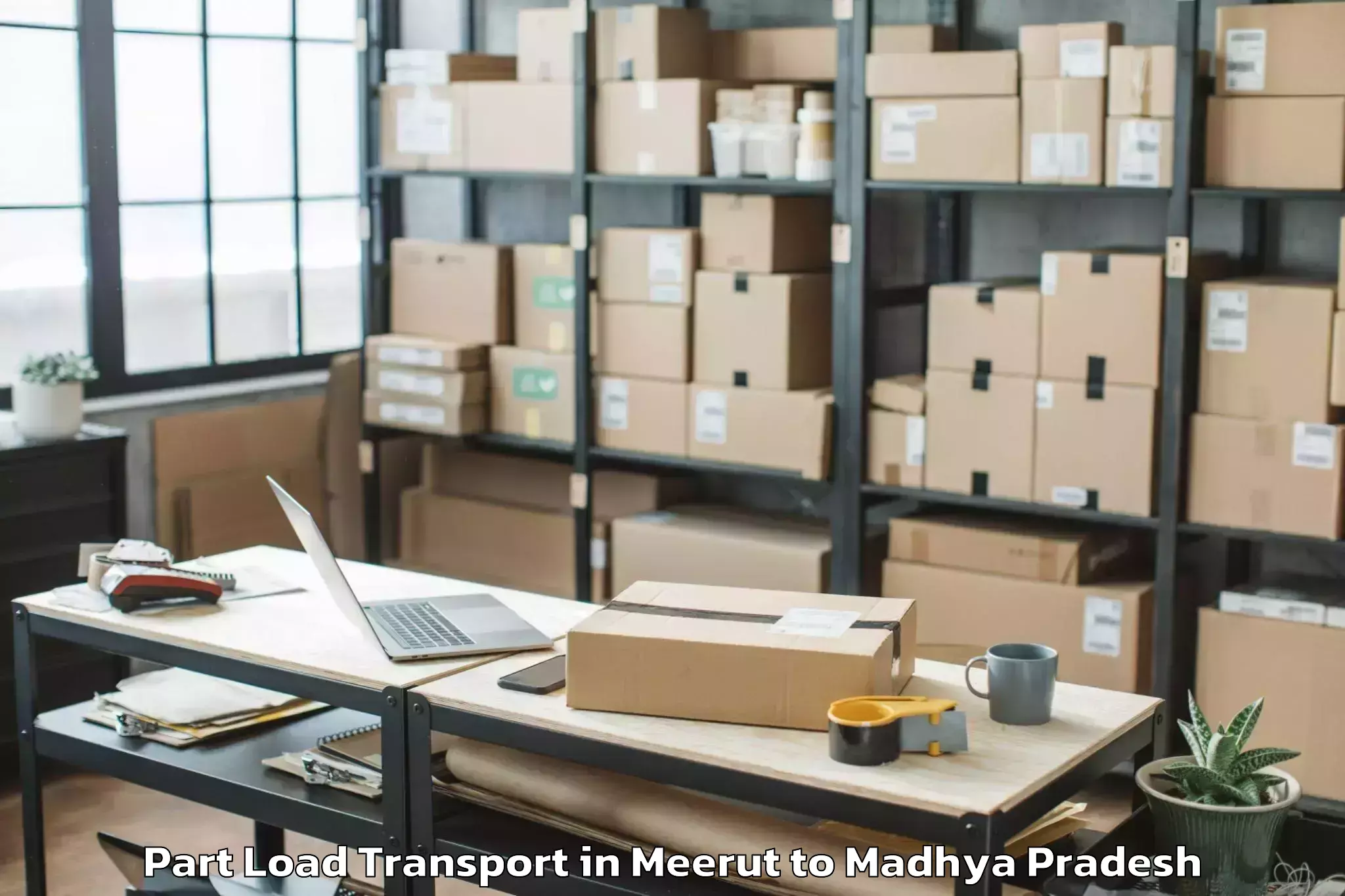 Expert Meerut to Medi Caps University Indore Part Load Transport